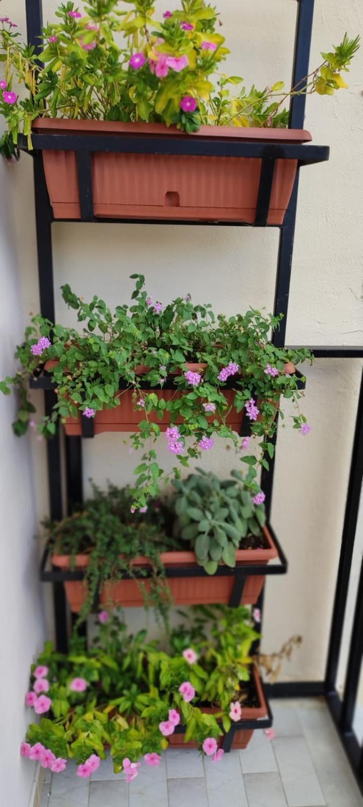 Edahouse Hotel Salerno Exterior photo